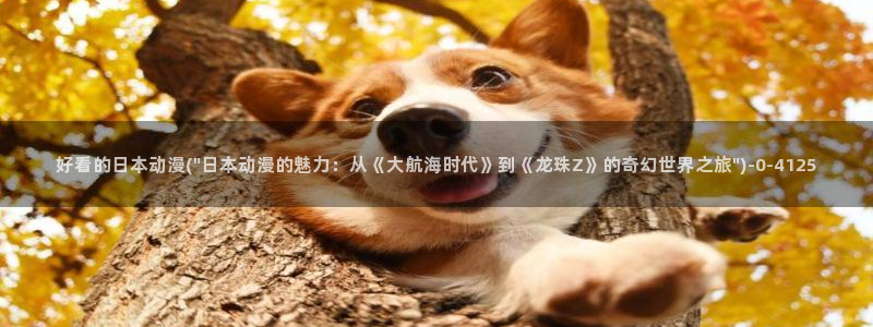 z动漫:好看的日本动漫(\